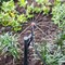 Raindrip Raindrip For 1/4 in. Tubing Drip Irrigation Tubing Stake 13 in. H 1 pk 170CPUB - alternate 4